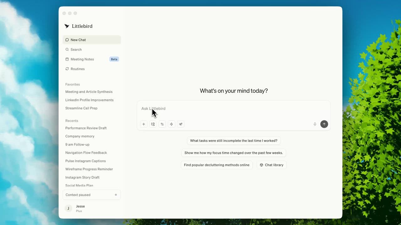 Littlebird desktop app with a sidebar of chats, meeting notes and routines and a box asking What's on your mind today