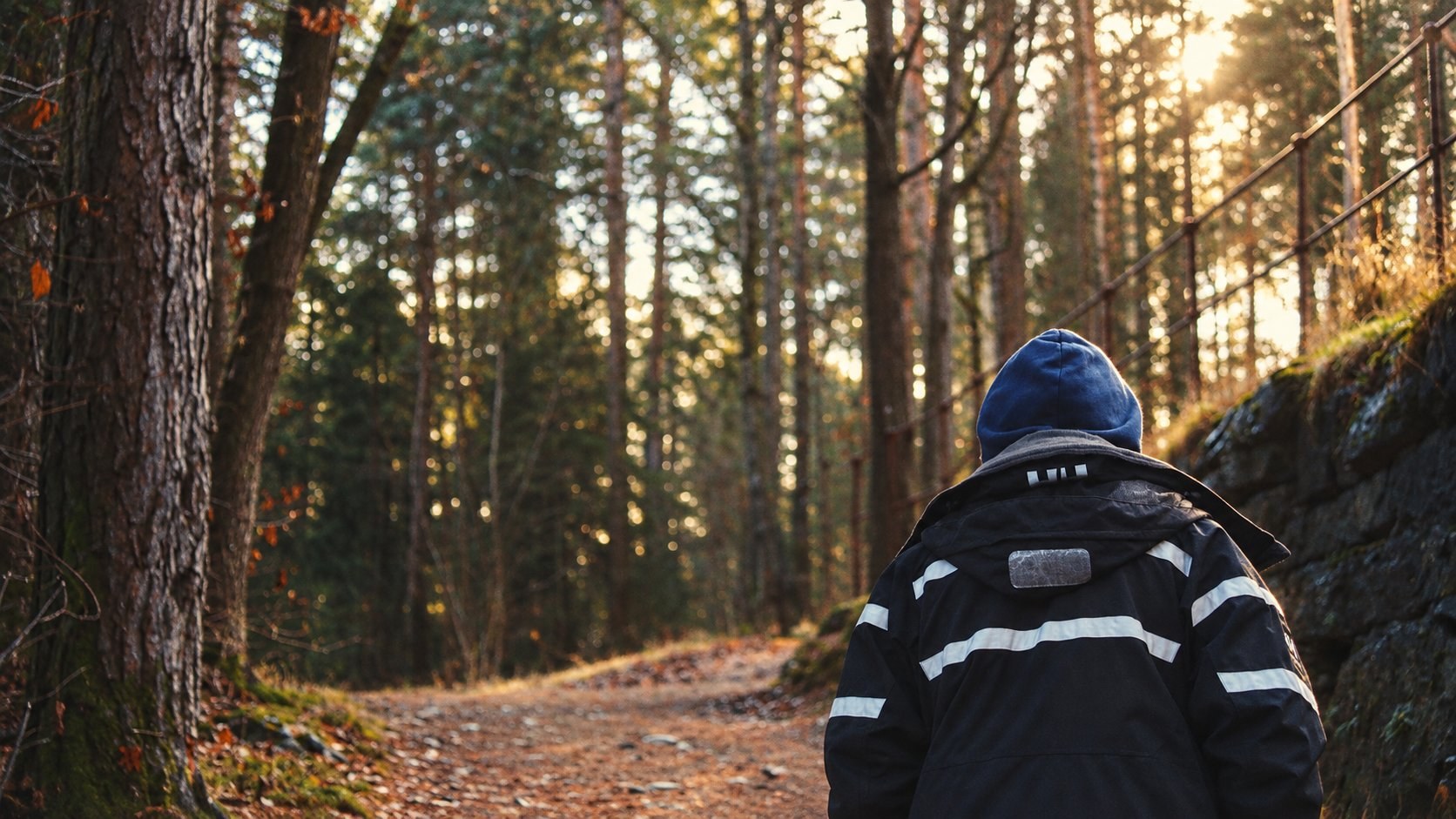 Person in a blue hood and dark jacket walking along a wooded path